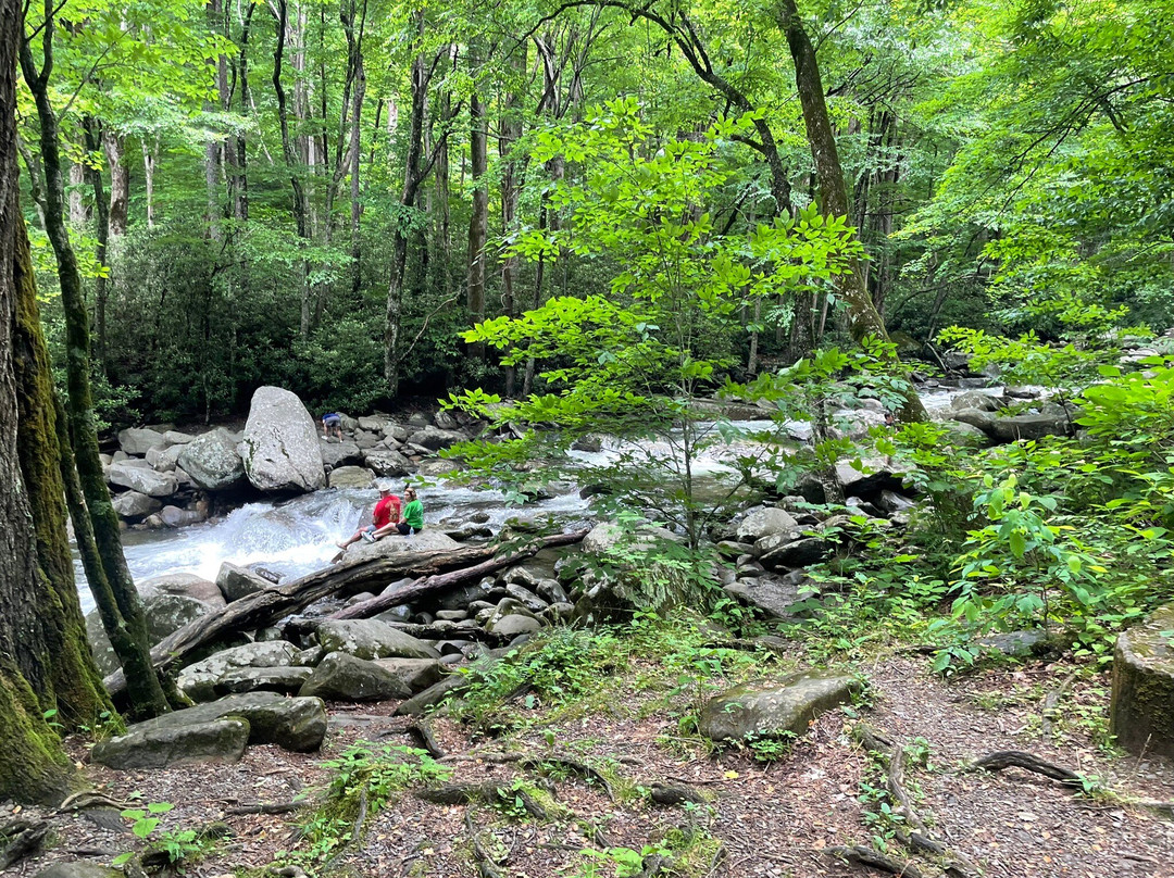 Chimneys Picnic Area-大雾山国家公园必去景点
