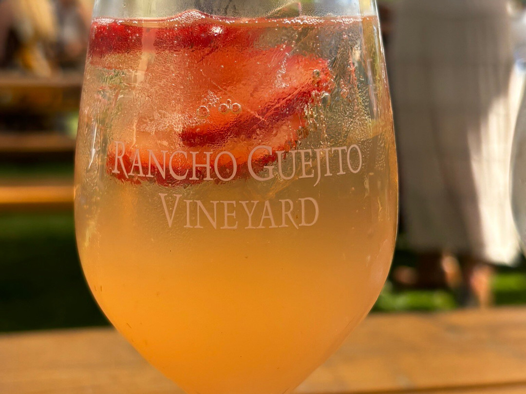 Rancho Guejito Vineyard-埃斯孔迪多必去景点