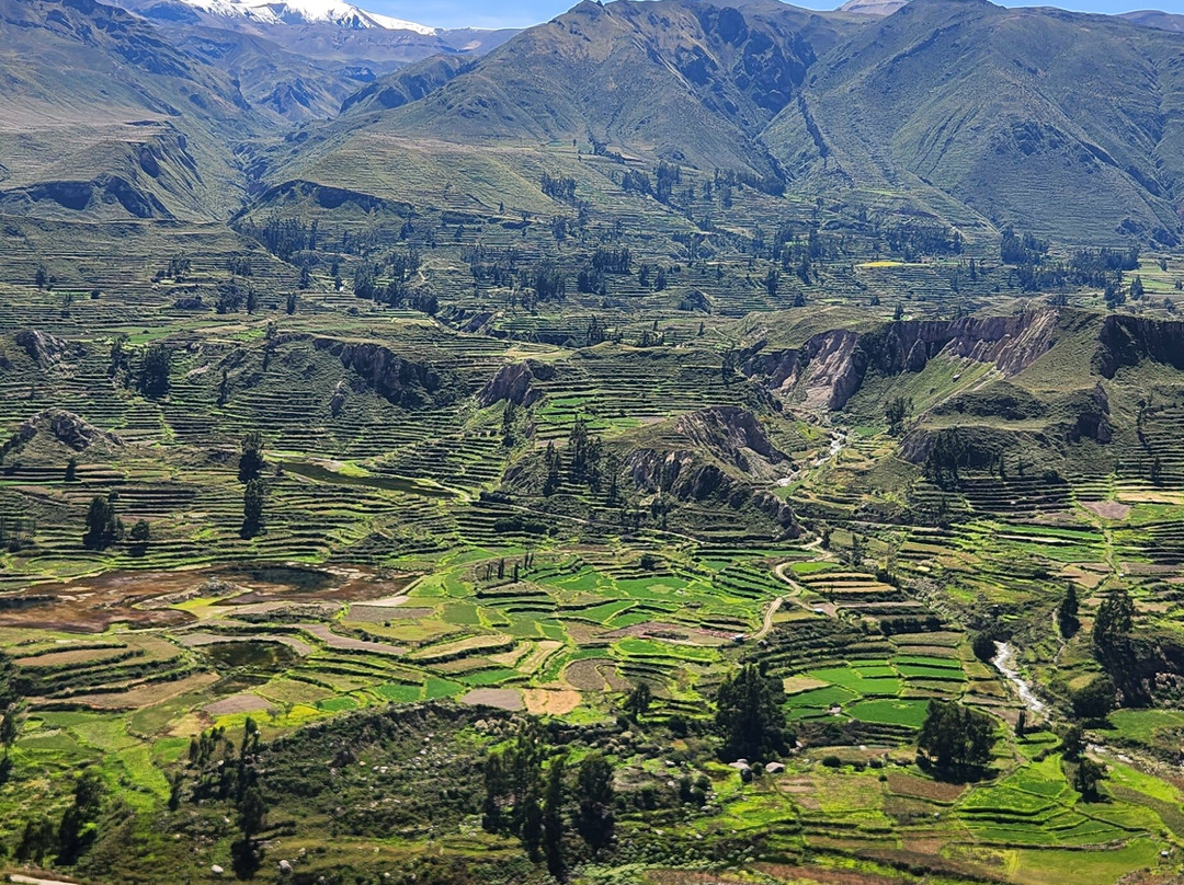 Amaranta Travel Peru-Yanque必去景点