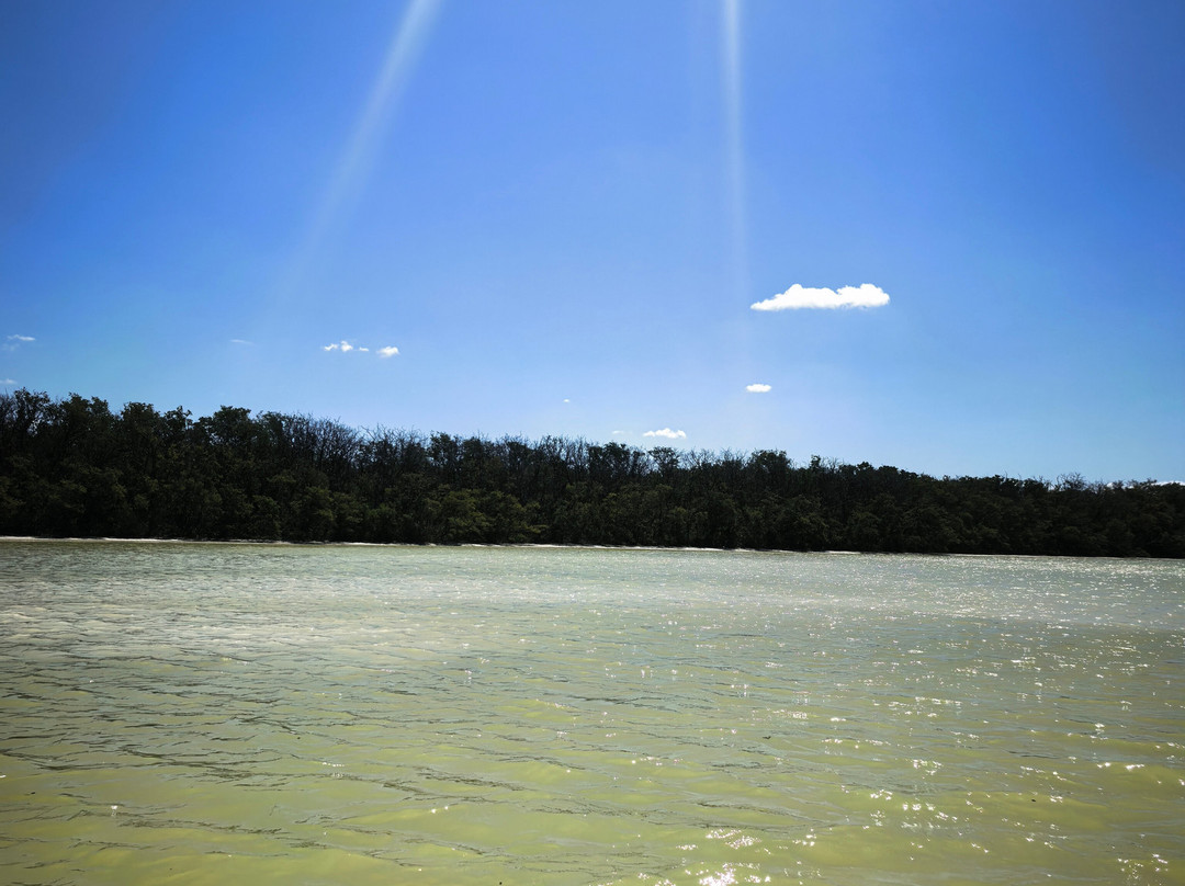 Reserva de la Biosfera Ría Celestún-塞莱斯顿必去景点