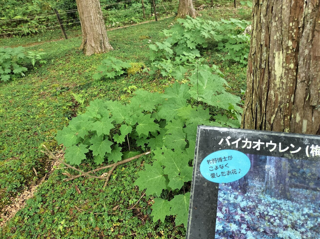Makino Park-佐川町必去景点