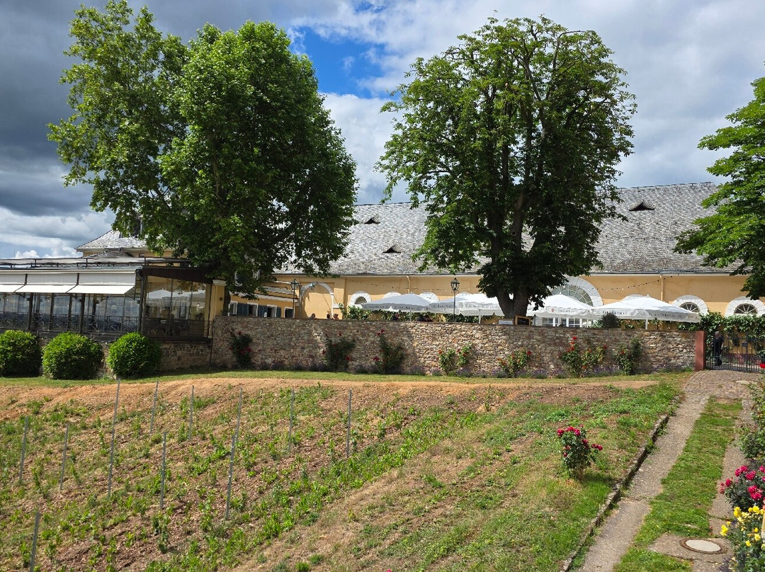 Schloss Johannisberg-盖森海姆必去景点