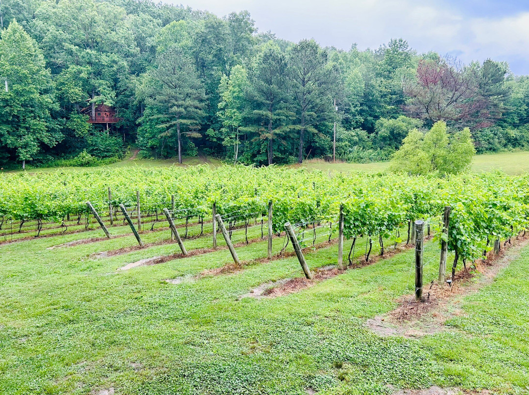 Bear Claw Vineyards-蓝岭必去景点