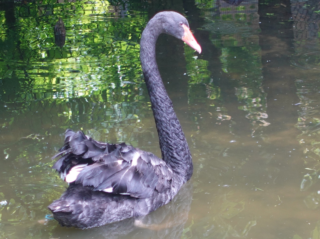 Weltvogelpark Walsrode-Walsrode必去景点