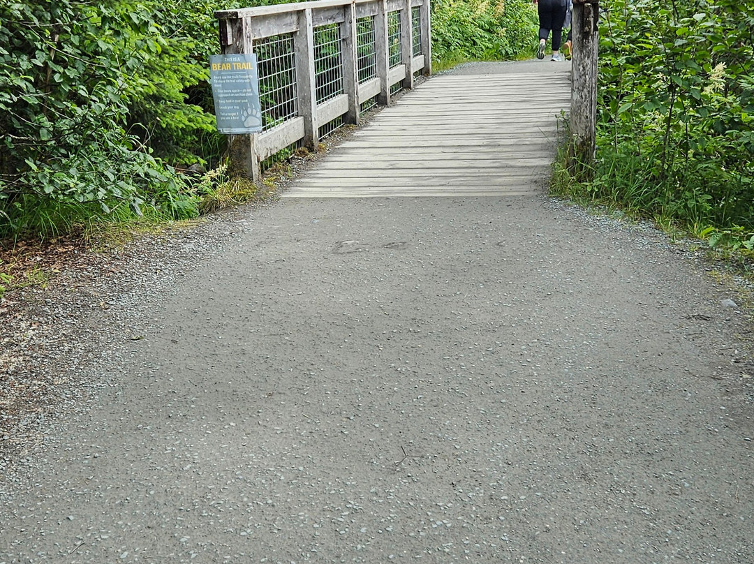 Mendenhall Glacier-朱诺必去景点