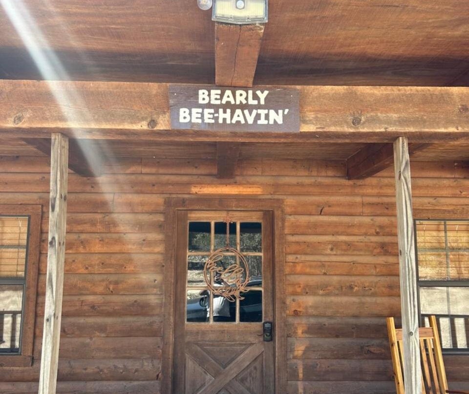 HoneyComb Hideouts Bearly BeeHavin cabin