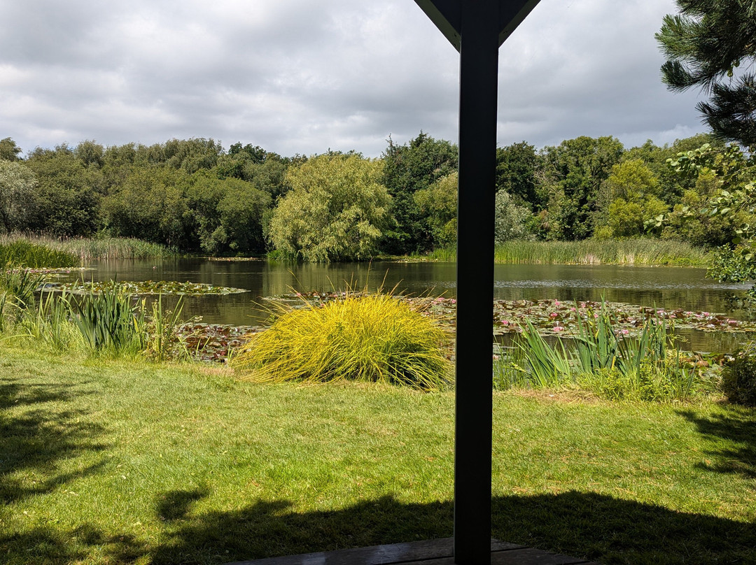 Bennetts Water Gardens-Chickerell必去景点