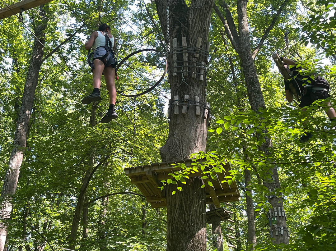 The Adventure Park At Sandy Spring-Sandy Spring必去景点