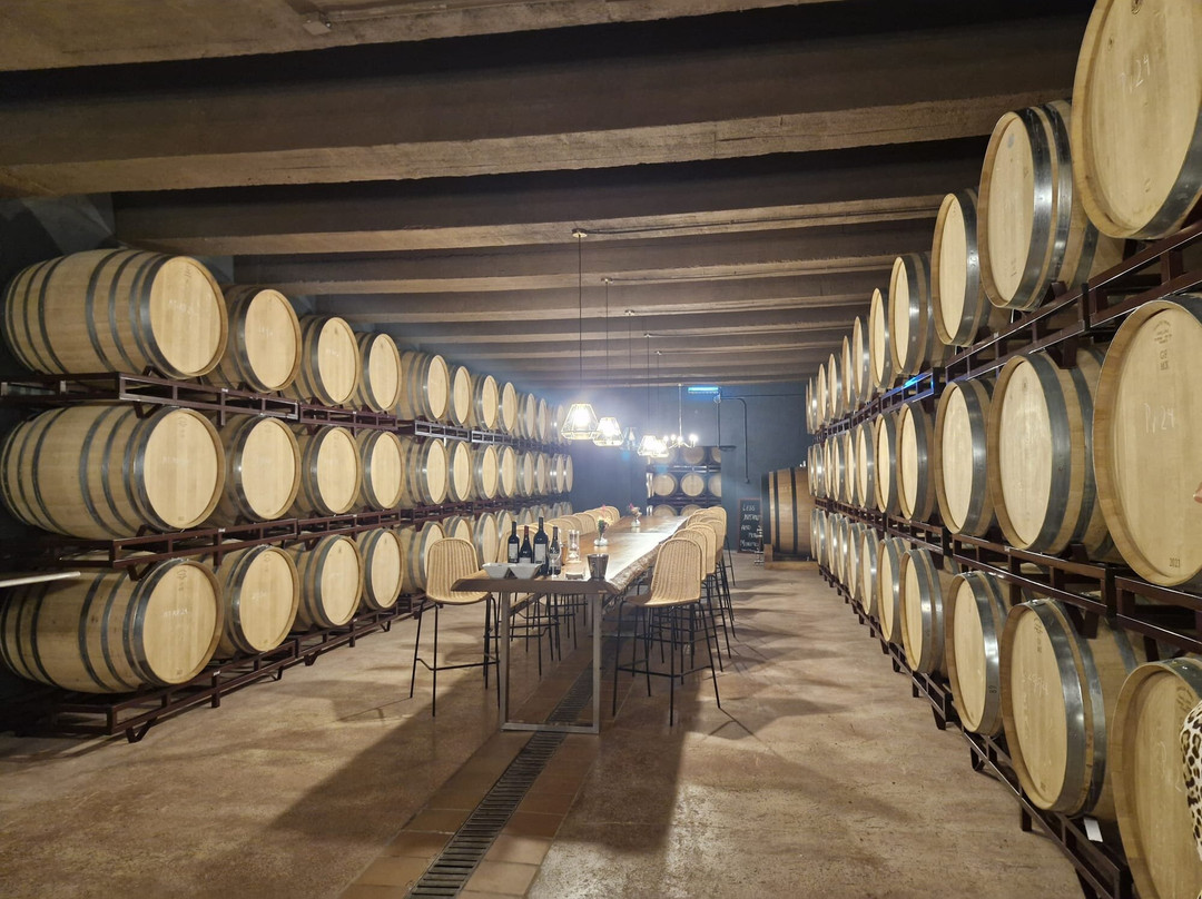 Bodegas Enrique Mendoza-L'Alfas del Pi必去景点