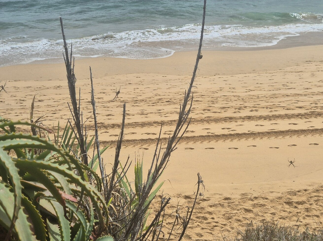 Praia do Porto Santo-Porto Santo Island必去景点
