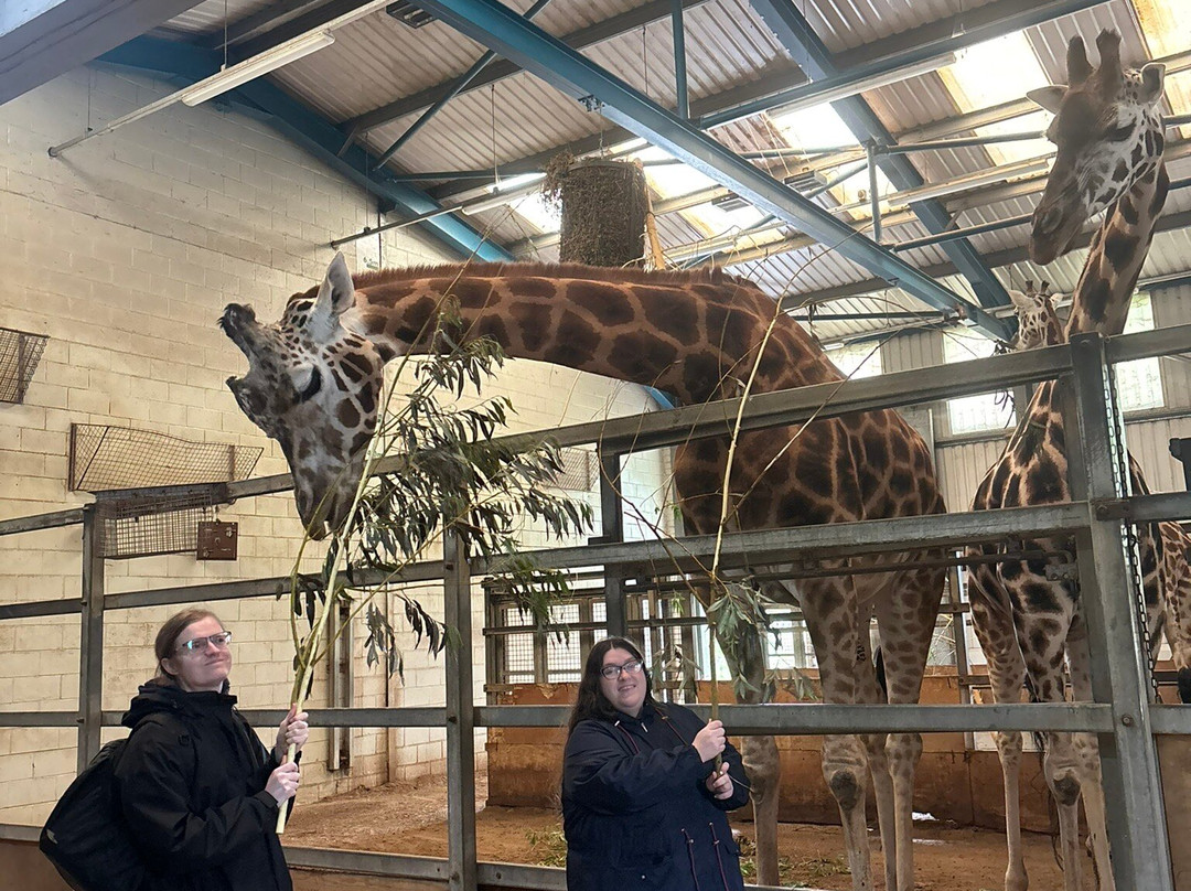 Paignton Zoo Environmental Park-佩恩顿必去景点