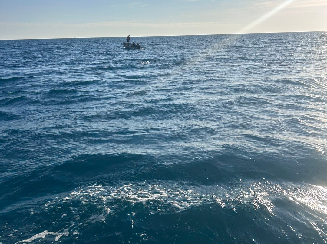 Broome Whale Watching-布鲁姆必去景点