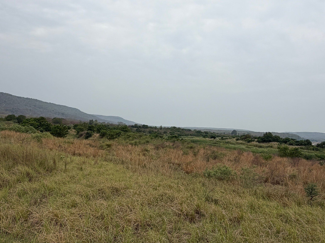 Panna National Park Safari-Madla必去景点
