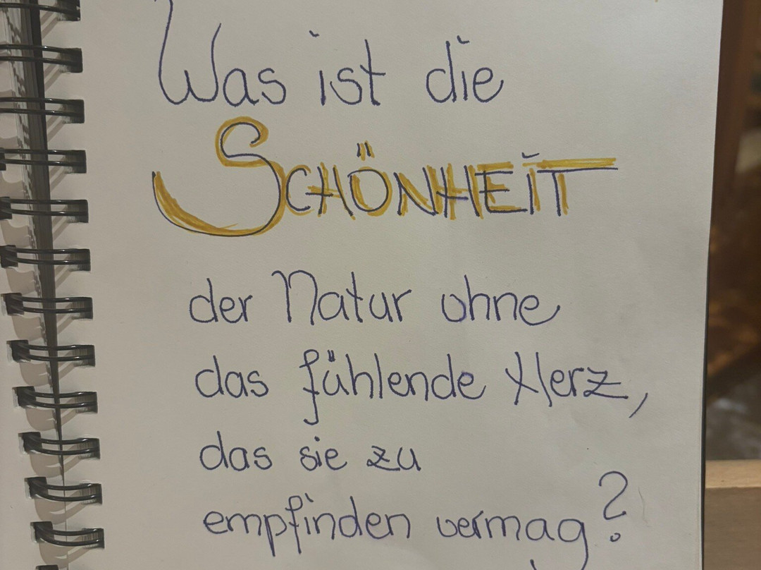 Kienle - Das Kräuterhotel主图