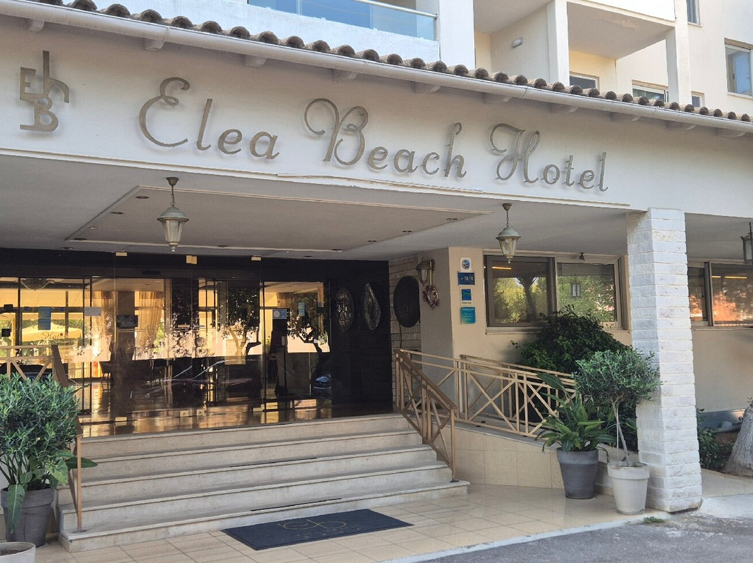 埃利亚海滩酒店主图