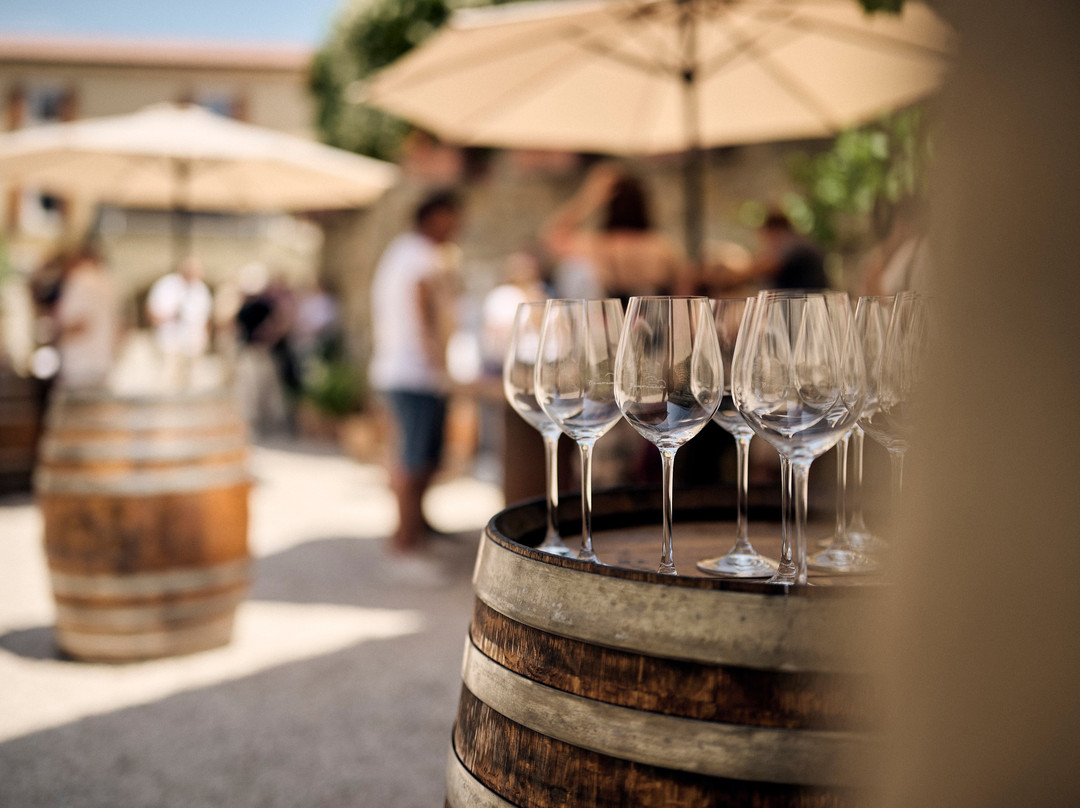 Benvenuti Winery-Motovun必去景点