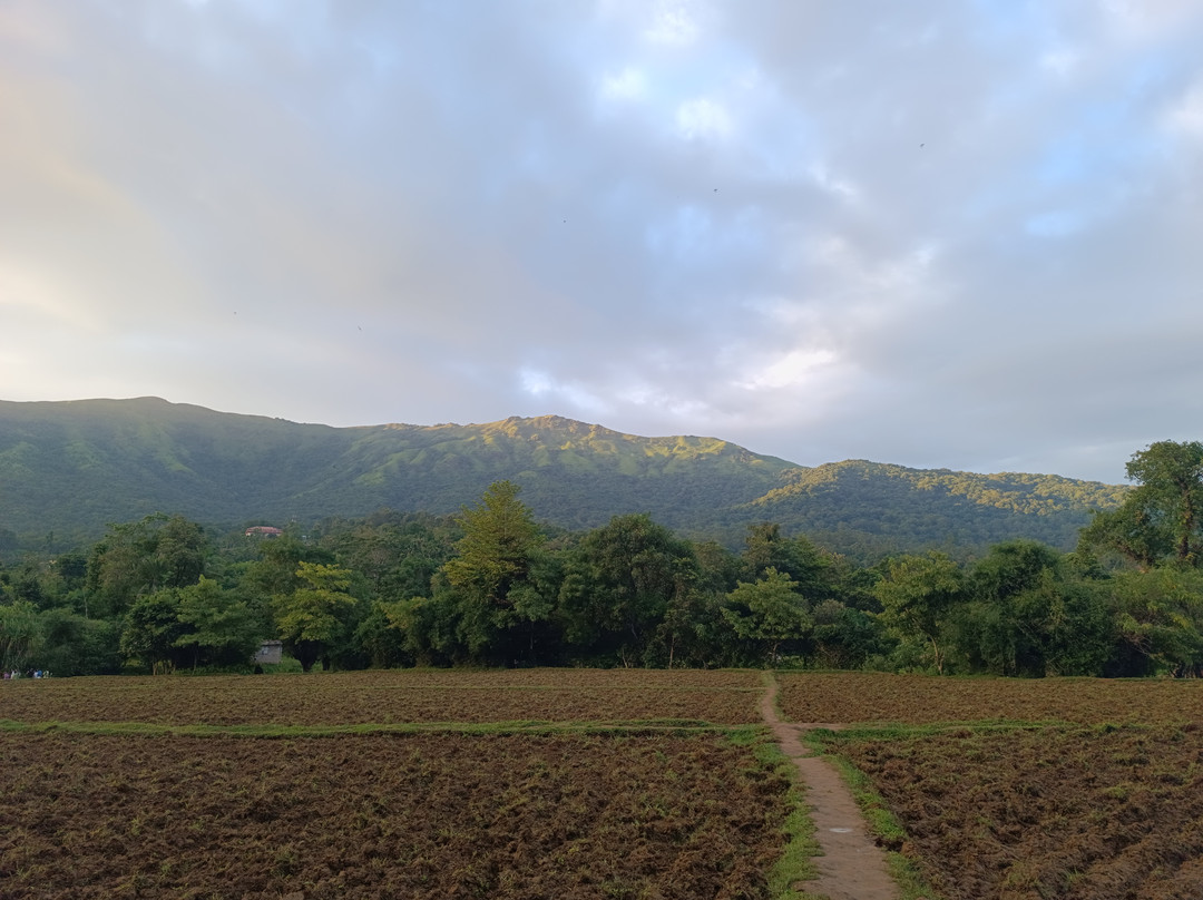 Crystal Kuruva Nature Resort & Spa主图