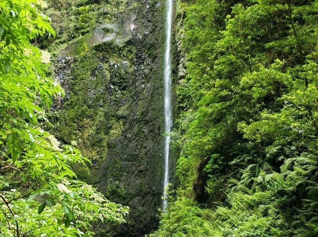 Levada Do Caldeirao Verde-Santana必去景点