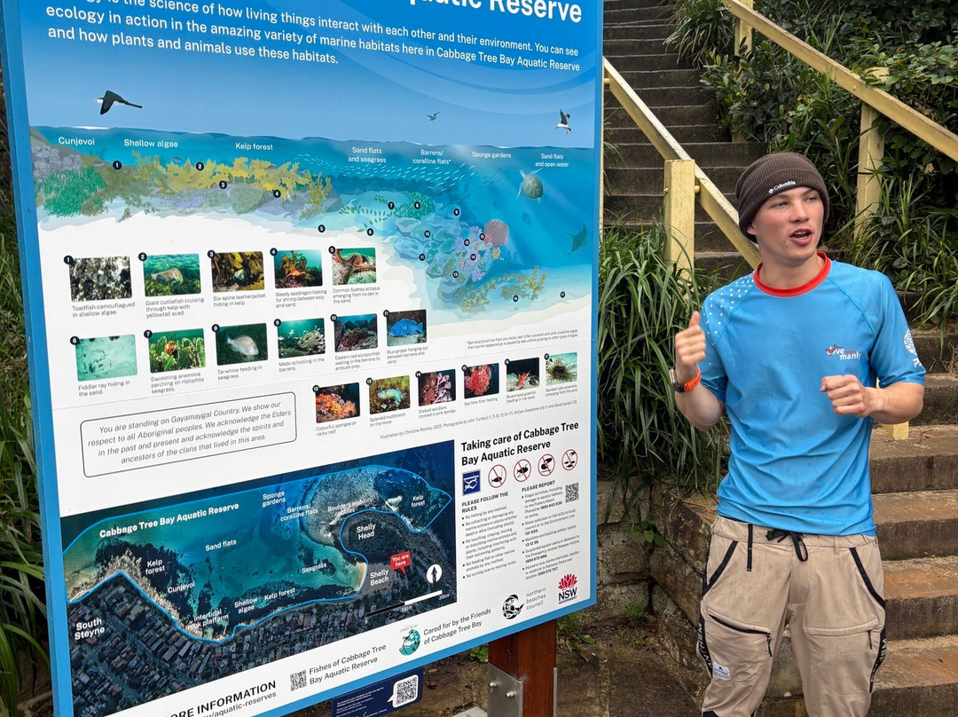 Dive Centre Manly-曼利议会必去景点