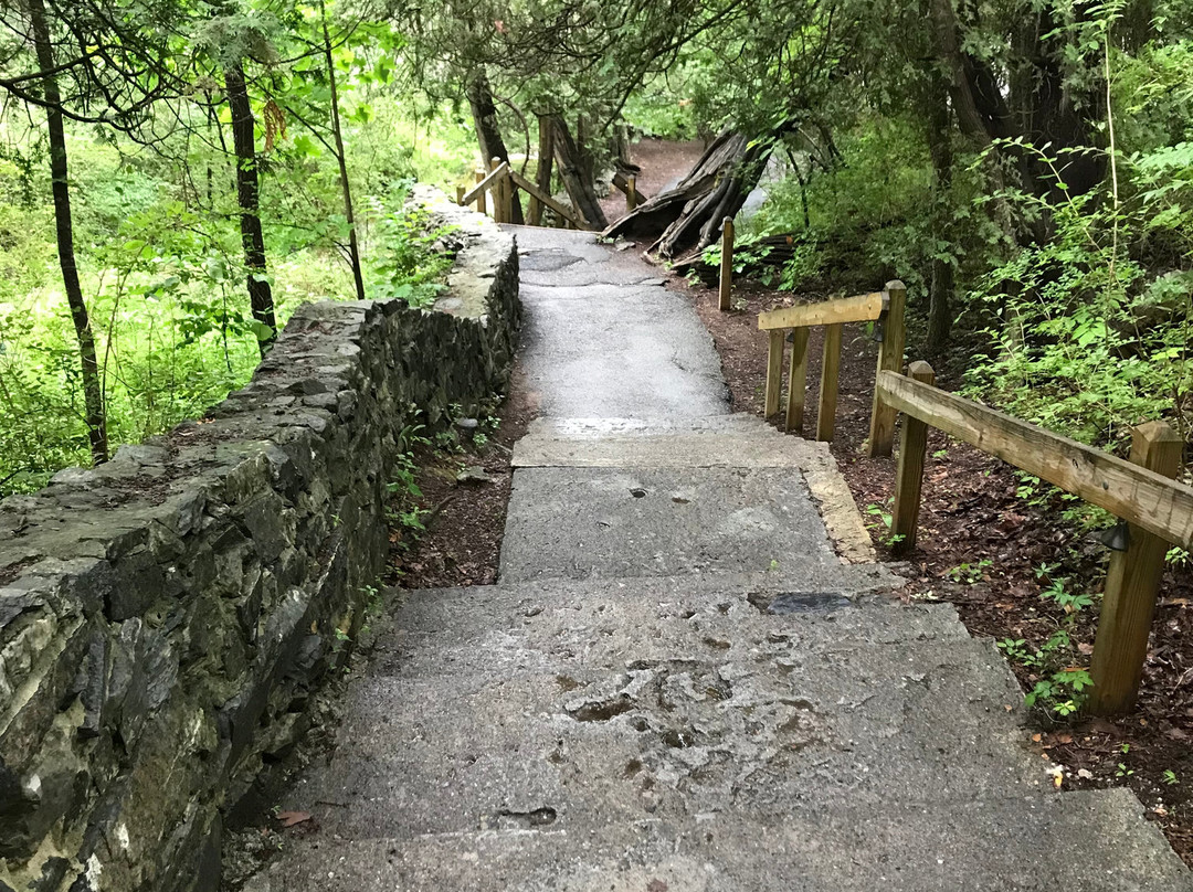 Natural Bridge State Park-天然桥必去景点