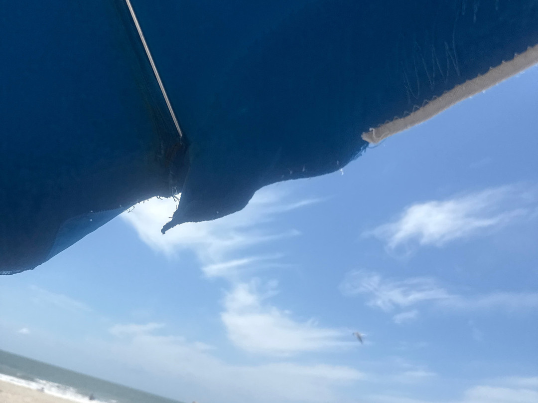 Isle of Palms Beach Chair Company-棕榈岛必去景点