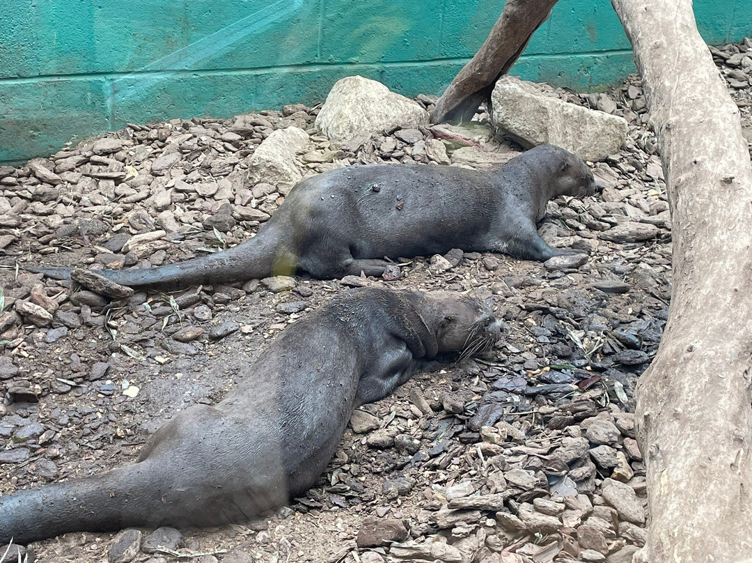 New Forest Wildlife Park-Ashurst必去景点