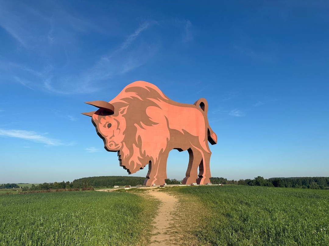 Bison on Route Brest - Minsk-布雷斯特必去景点