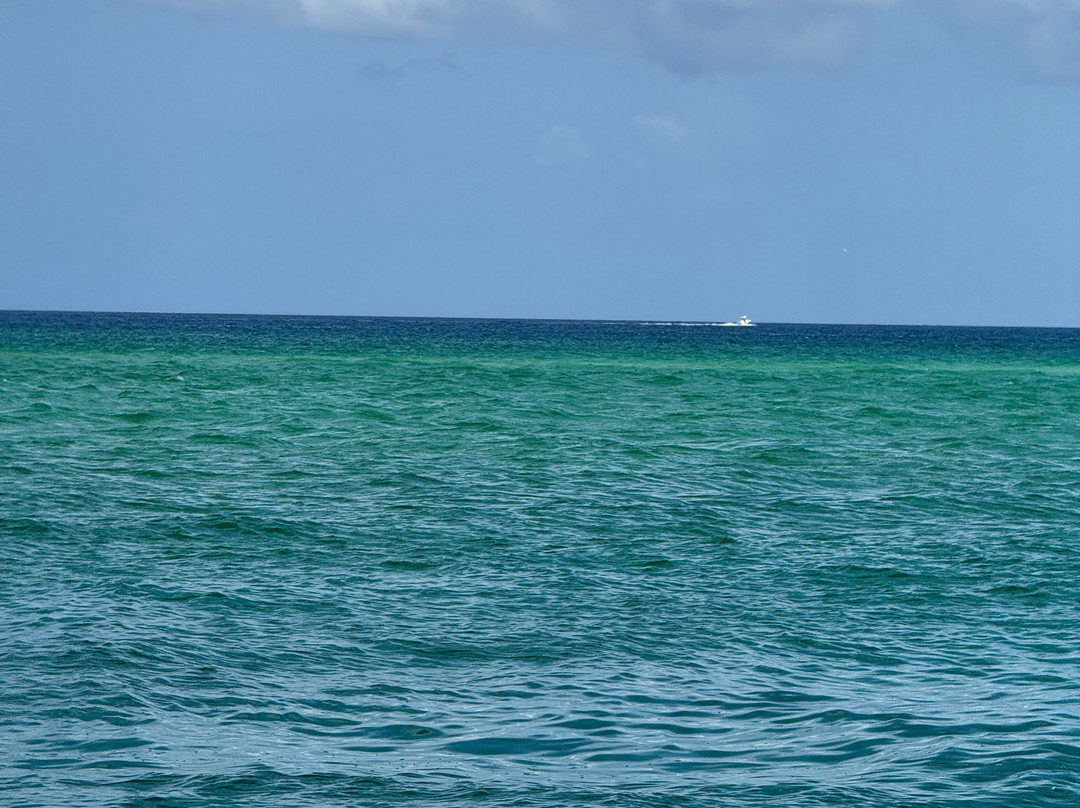 Neal Watson's Bimini Scuba Center-Alice Town必去景点