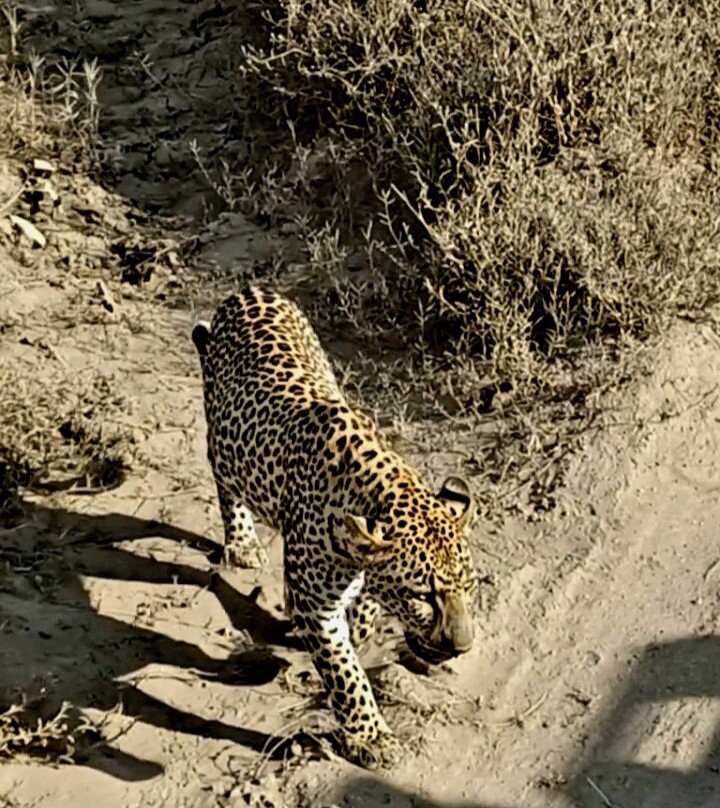 Zara Tanzania Adventures-莫西必去景点