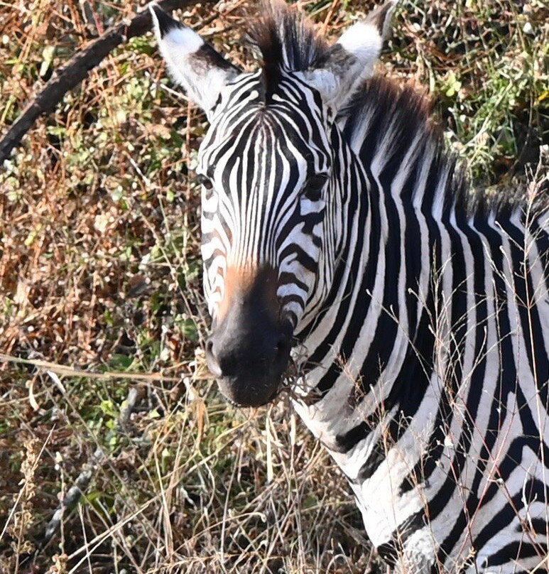 Grassrootz Adventures Uganda-坎帕拉必去景点