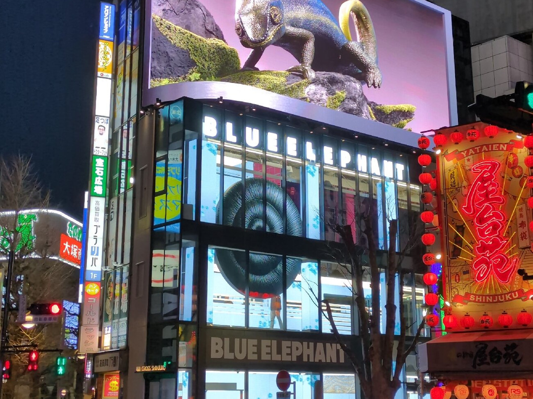 Giant 3d Cat Display Billboard-Shinjuku 3 Chome必去景点