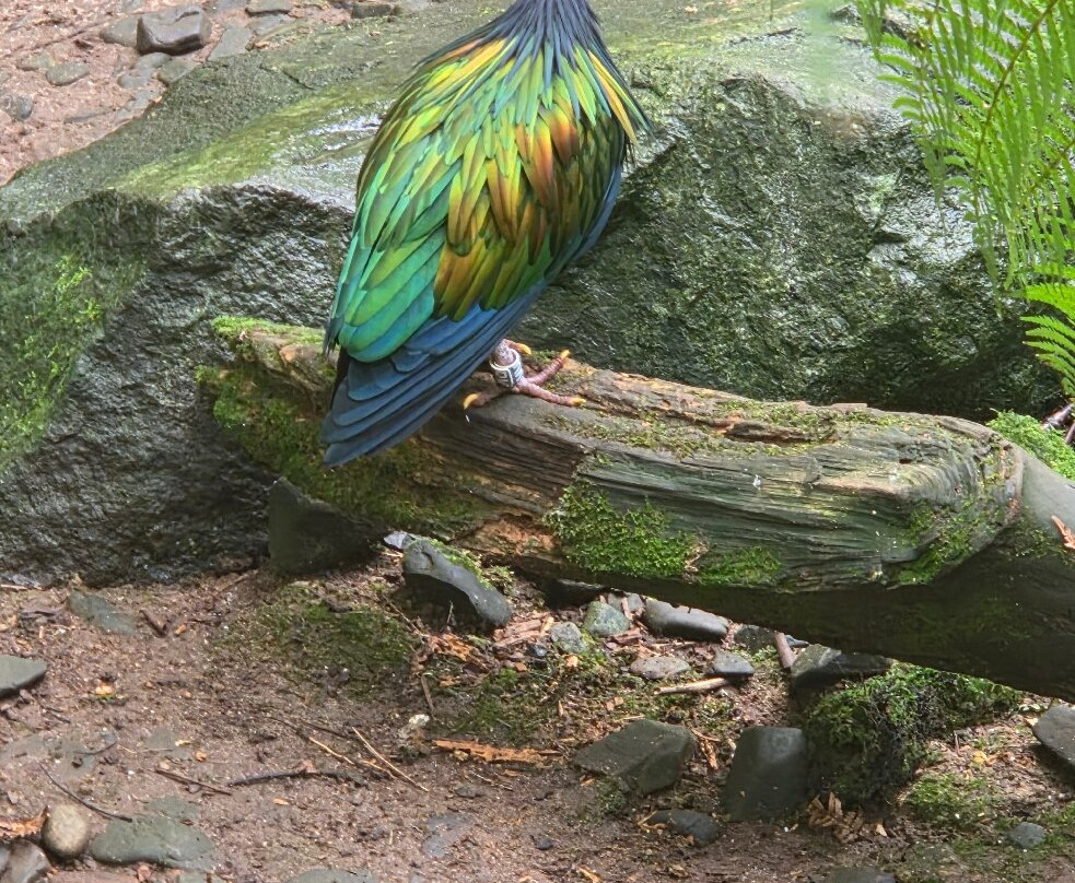 Jersey Zoo-Trinity必去景点