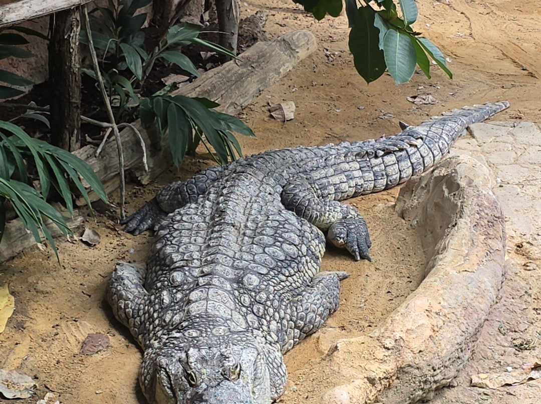 La Ferme Aux Crocodiles-Pierrelatte必去景点