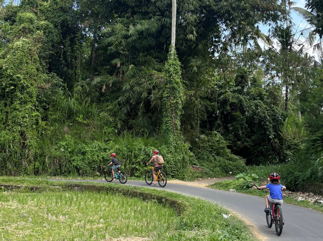 Bali Fun Bike Adventure-Pejeng Kaja必去景点