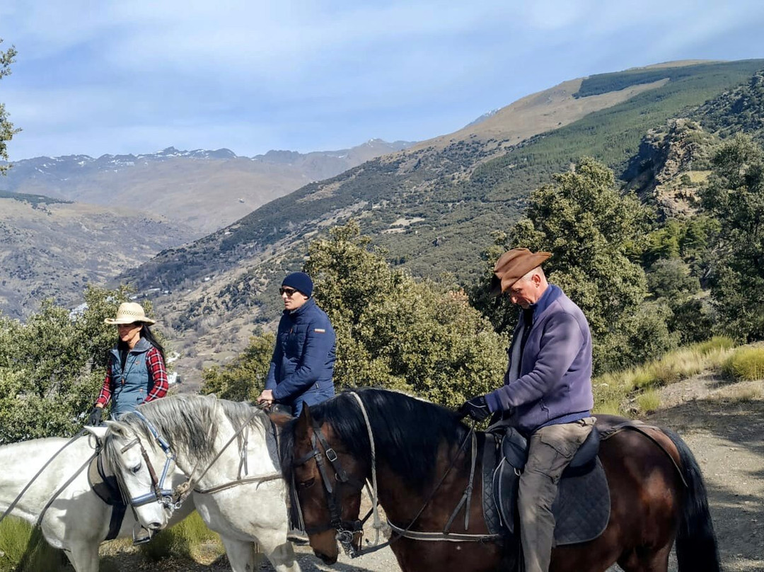 Riding Andalucia-布维翁必去景点