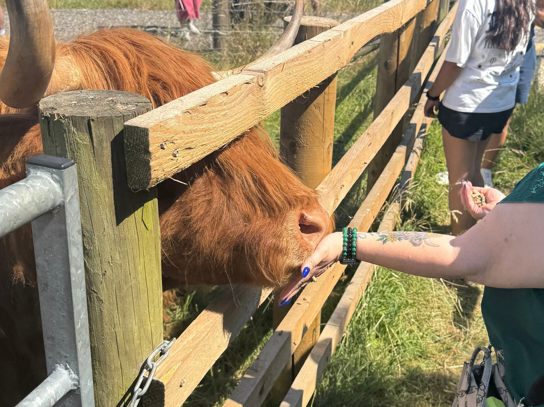 Hogshaw Farm & Wildlife Park-Hogshaw必去景点