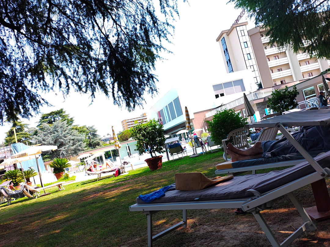 Continental Terme Hotel主图