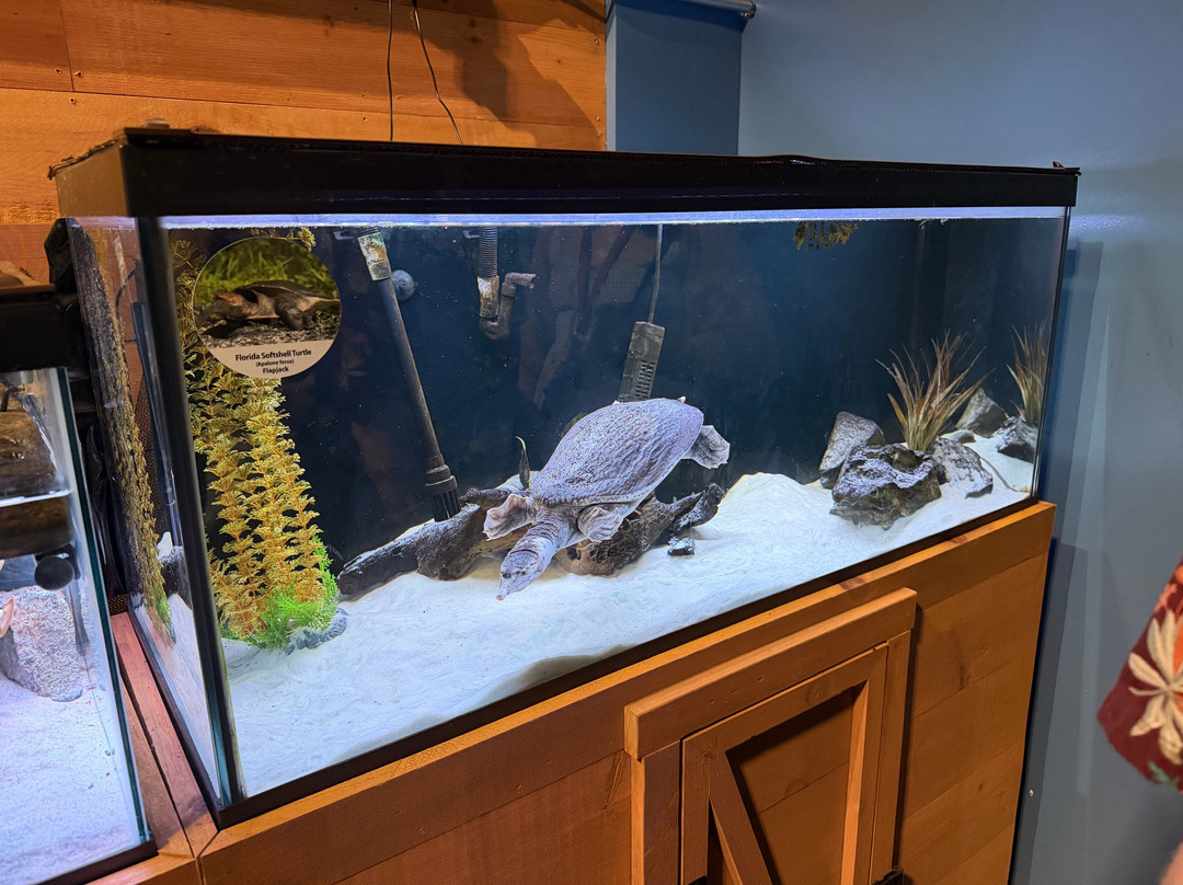 Living Shores Aquarium-Glen必去景点