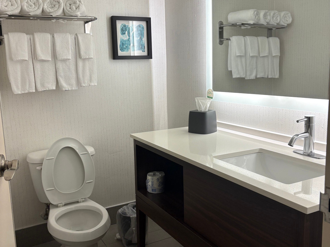 Holiday Inn 兰斯代尔主图