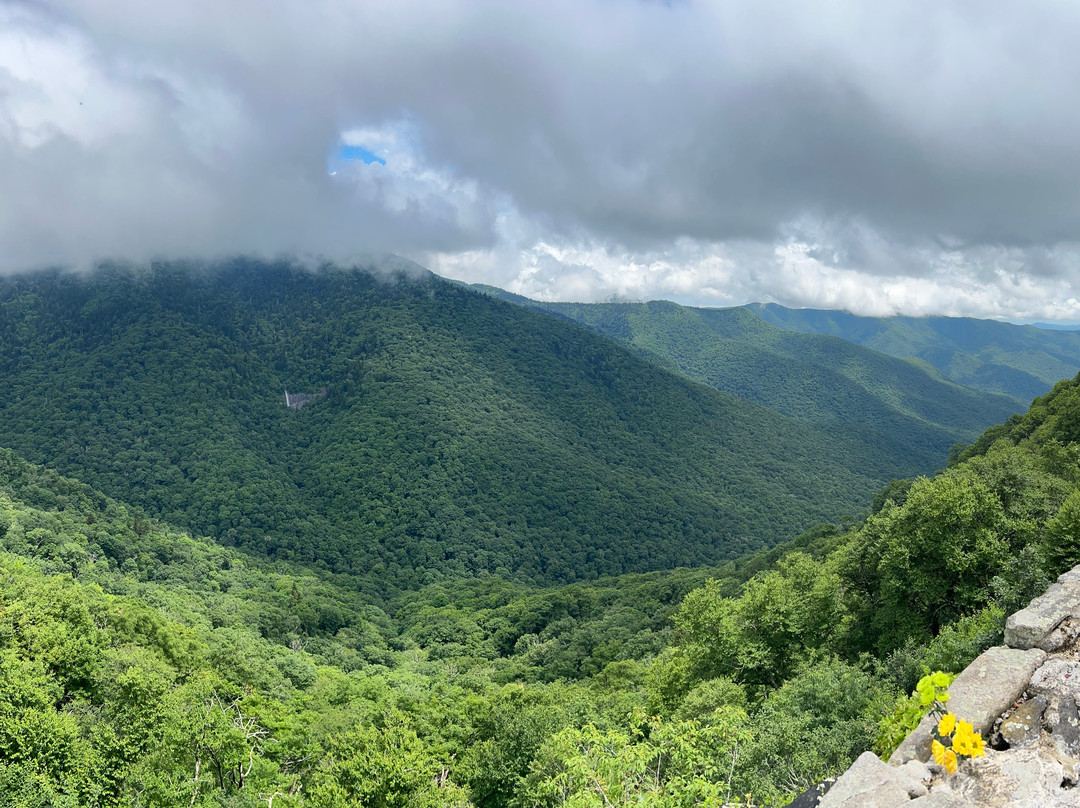 Mount Mitchell State Park-Burnsville必去景点