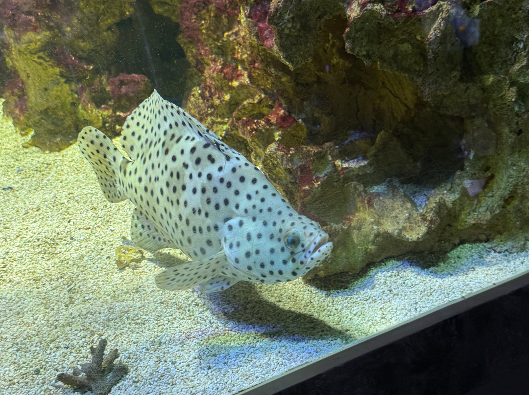 Aquarium du Limousin-利摩日必去景点