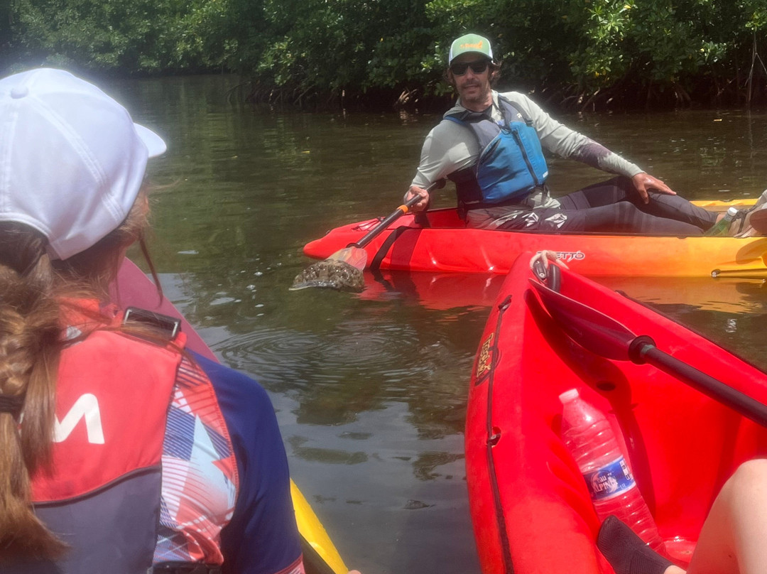 TI-Evasion Kayak de mer en Guadeloupe-Pointe-a-Pitre必去景点