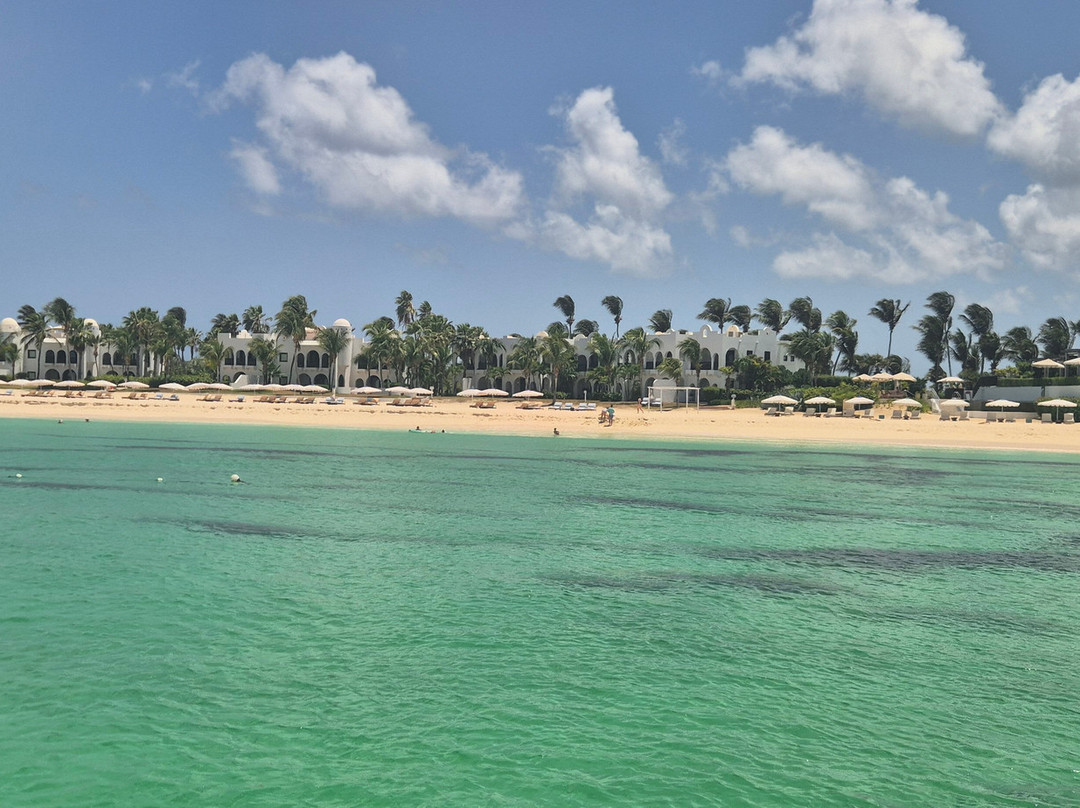 Scoobi Catamaran Charters-Anse Marcel必去景点