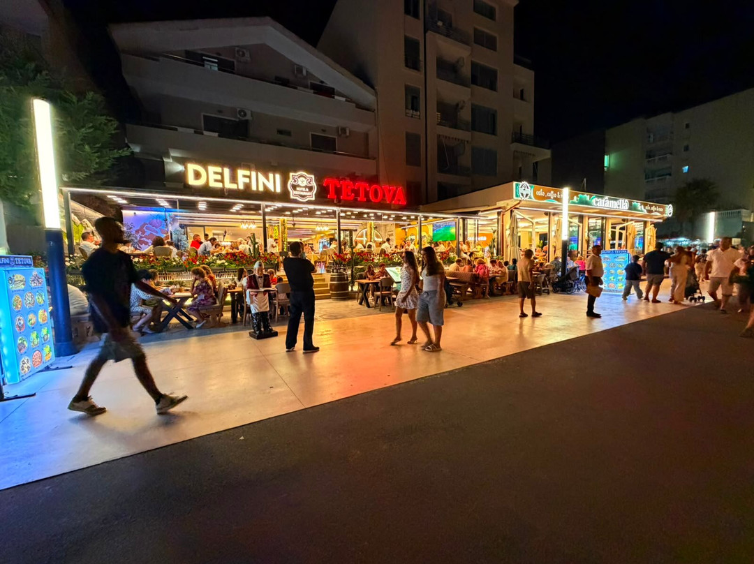 Restaurant&Hotel Delfini Tetova Durres