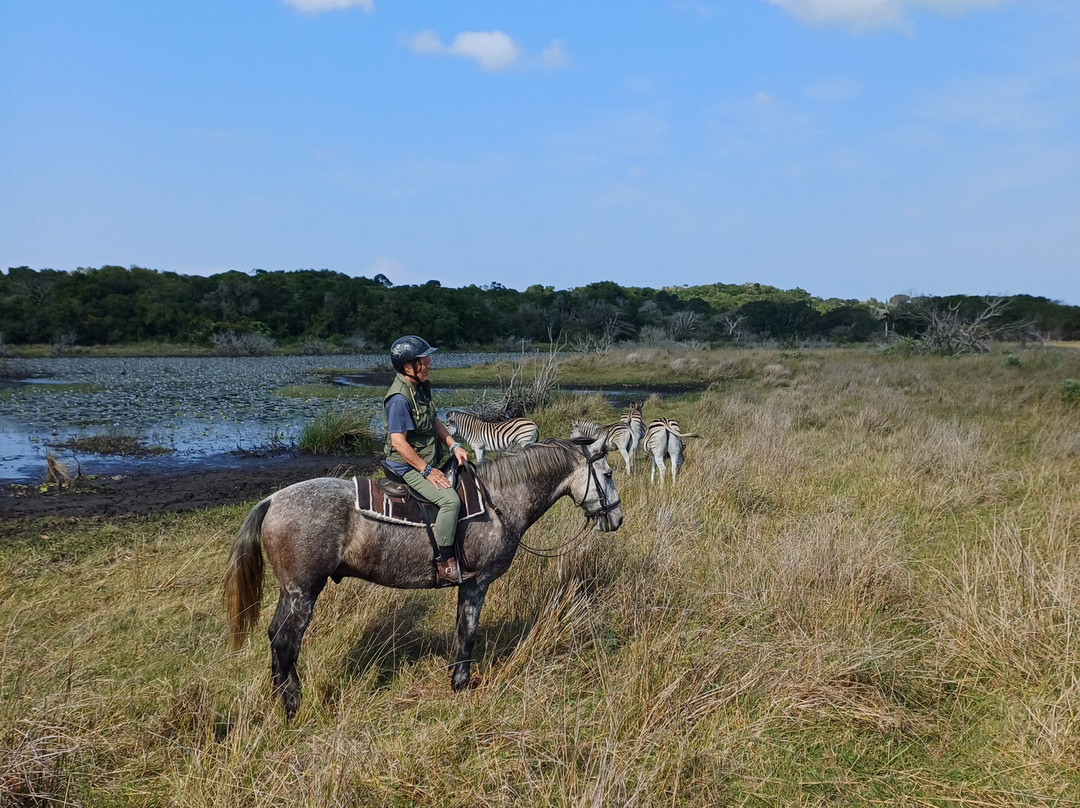 Bhangazi Horse Safaris-圣露西亚必去景点