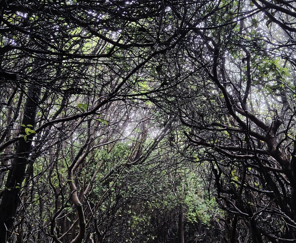 Poas Volcano-Poas Volcano National Park必去景点