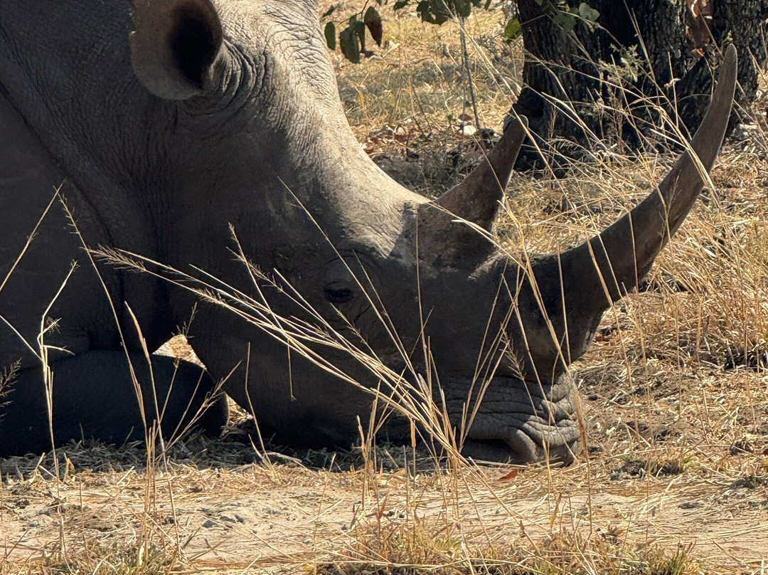 Mosi-oa-Tunya National Park-李文斯顿必去景点