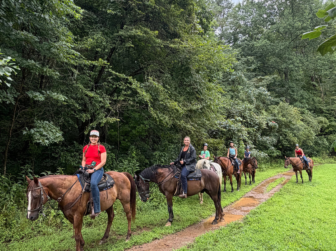 Appalachian Trail Rides-Mineral Bluff必去景点