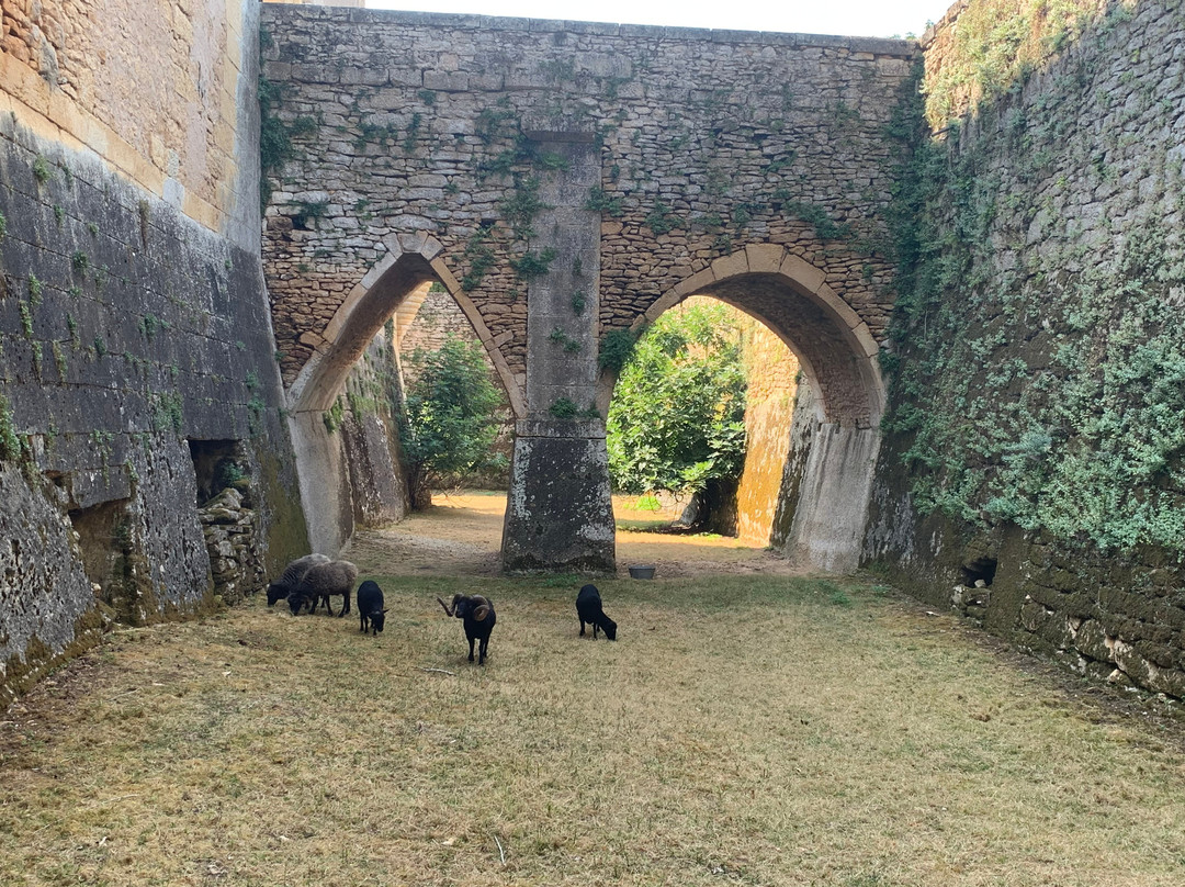 Château Et Jardins De Losse-Thonac必去景点