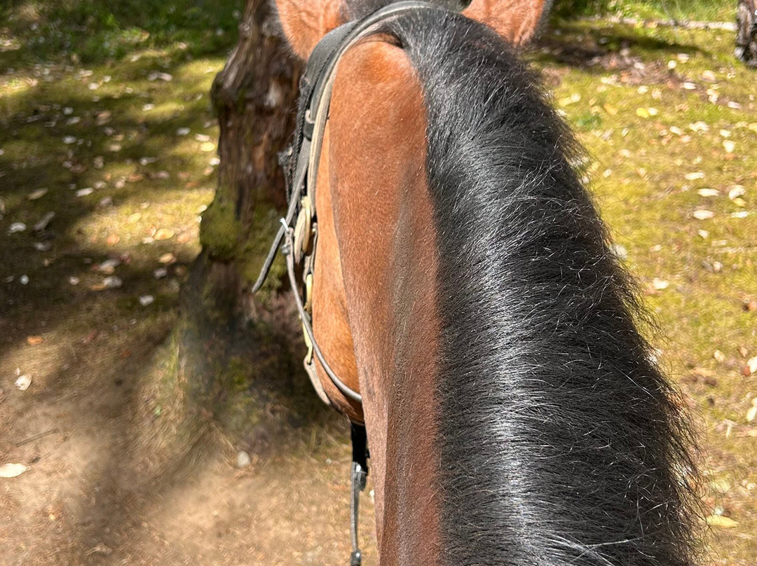 Alpine Stables-Cobble Hill必去景点